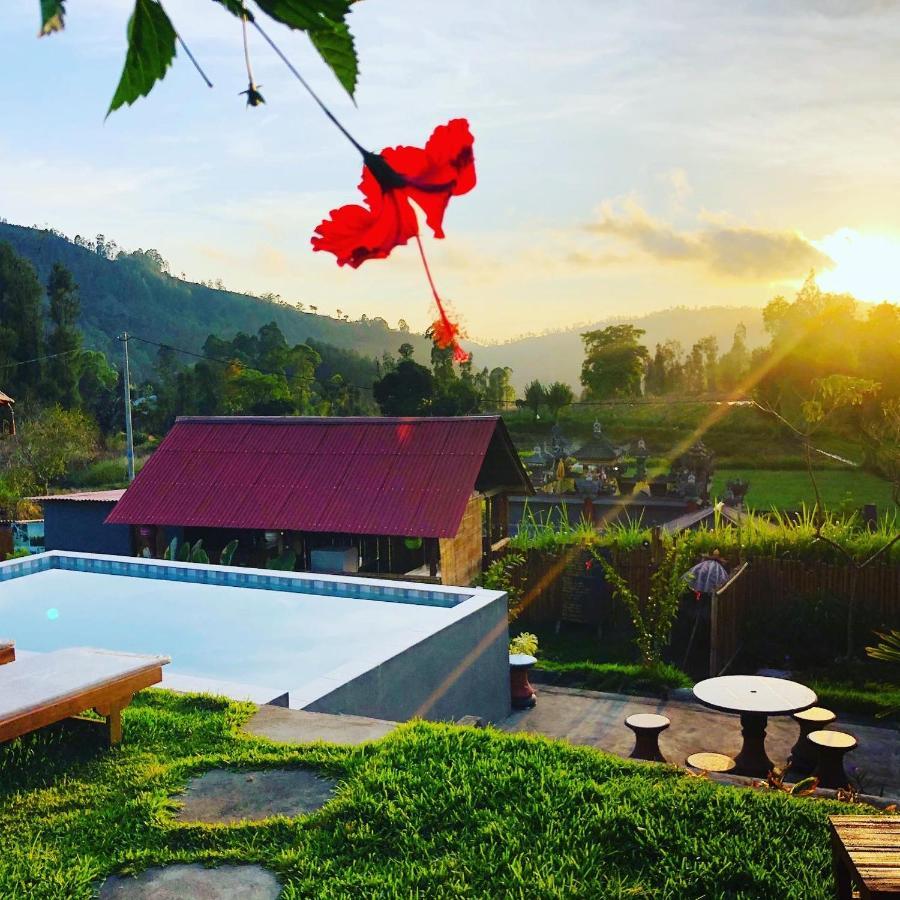Bukit Catu Bungalows Kintamani Kültér fotó