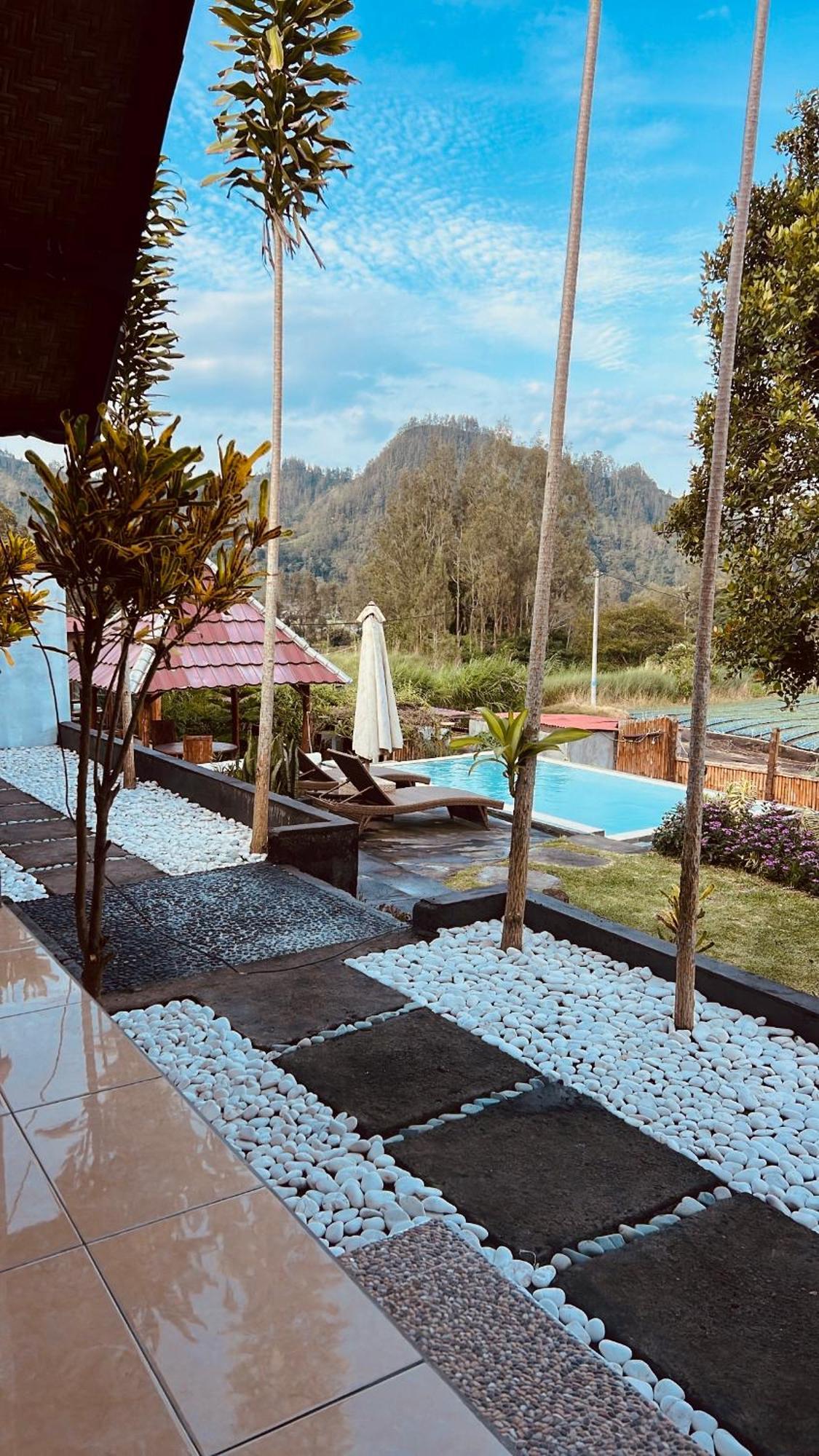 Bukit Catu Bungalows Kintamani Kültér fotó